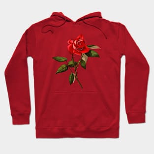 Single Stem Red Rose Isolated Vector Art Hoodie